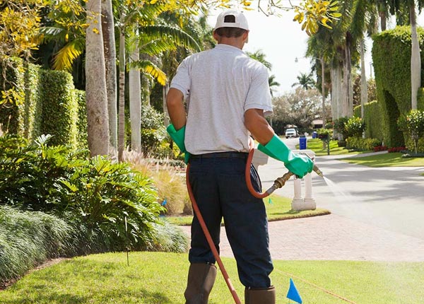 About Newington CT Pest Control